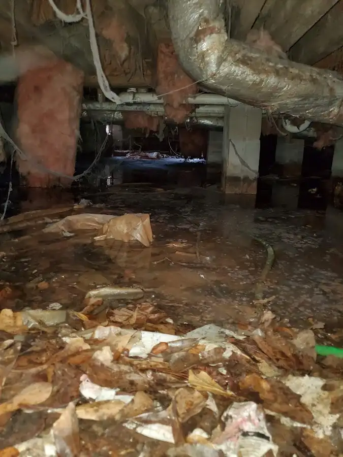 Crawl space flood assessment for Leak Detection & Repair in Fletcher